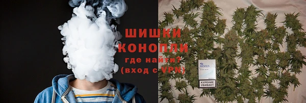 spice Михайлов