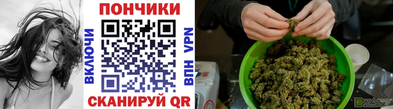 Купить где  Кинешма  Каннабис семена 